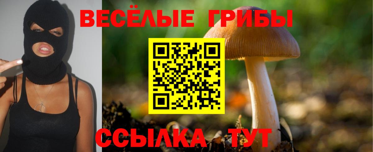 Галлюциногенные грибы мицелий  Вход с VPN  Псилоцибиновые грибы GOLDEN TEACHER  Холмск 